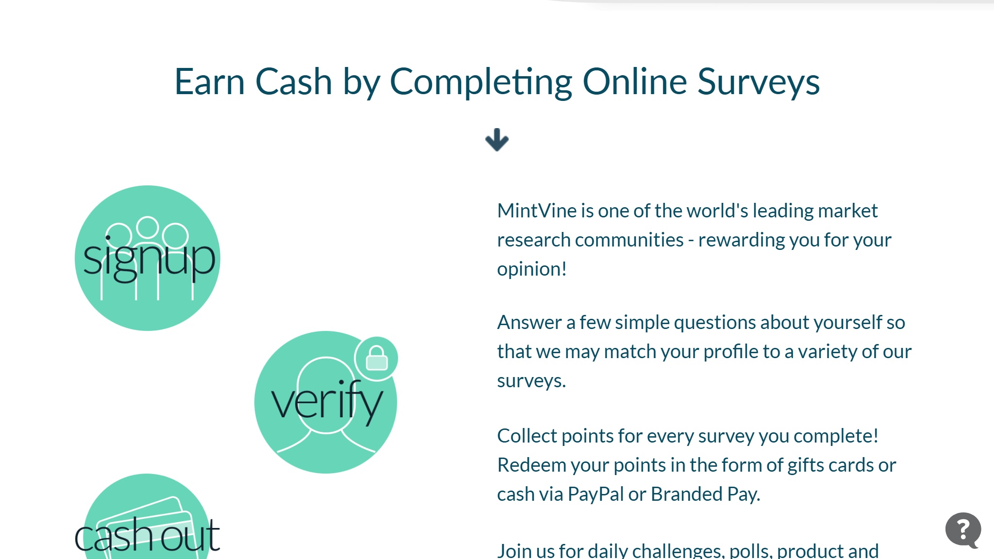 Mint Vine website scrolled view — built by MOTS Technologies